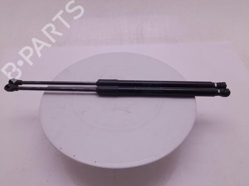 tailgate-lift-support-fiat-500-312_-2007-40303276 main image