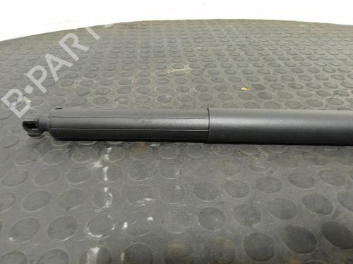 Tailgate lift support ASTON MARTIN DBX 4.0 | BP40341781C138 - Image 5