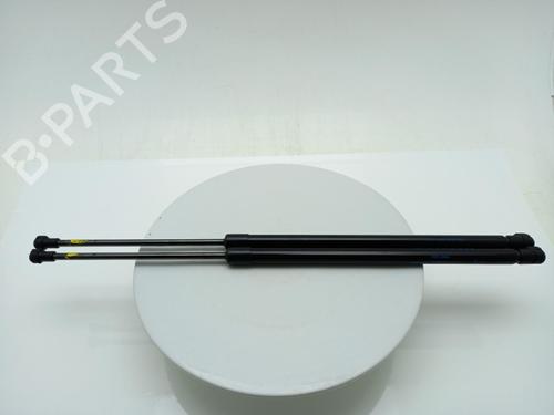 tailgate-lift-support-nissan-juke-f16_-2019-40317914 main image