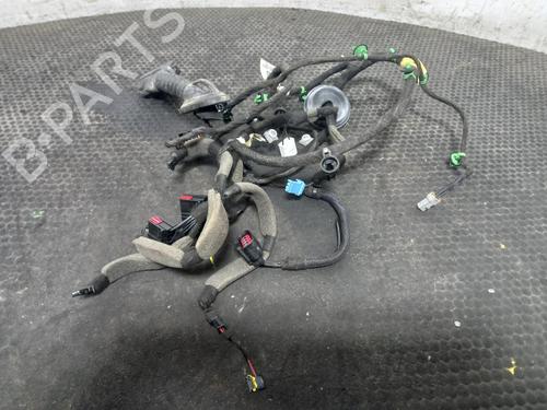 wiring-harness-land-rover-range-rover-evoque-l538-2011-2012-2013-2014-2015-2016-2017-2018-2019-40314947 main image