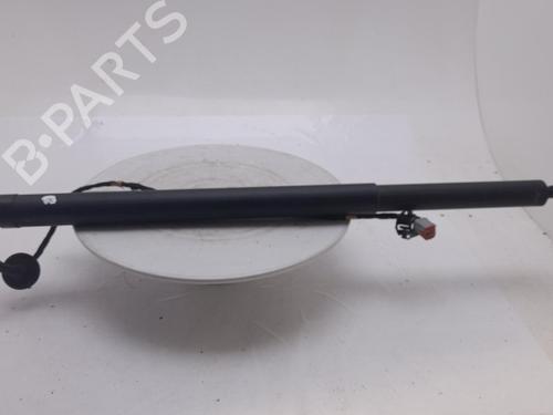 tailgate-lift-support-ford-kuga-iii-dfk-2019-40302936 main image