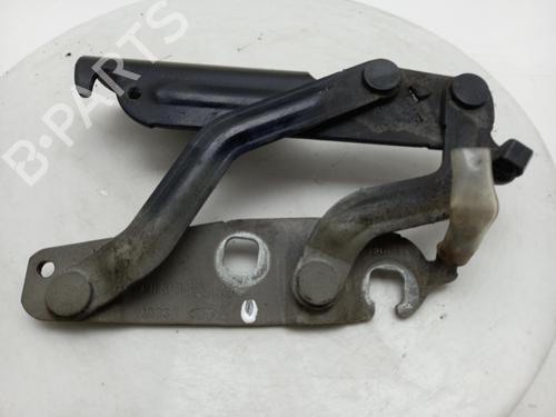 hingedoor-check-strap-ford-fiesta-vi-cb1-ccn-2008-40302263 main image