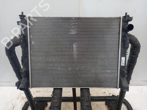Used Water radiator Water radiator NISSAN JUKE (F16_) DIG-T 117 (117 hp) 40336596 40336596