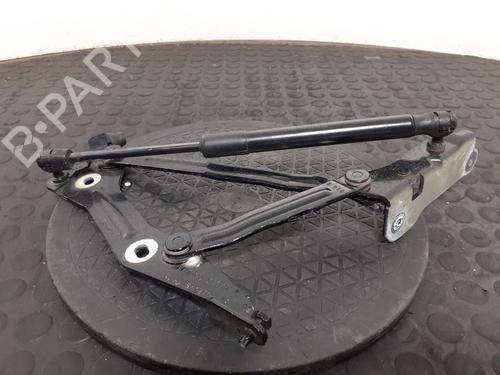 Used Hinge/Door check strap Hinge/Door check strap FORD USA MUSTANG Convertible 5.0 V8 (422 hp) 40343807 40343807
