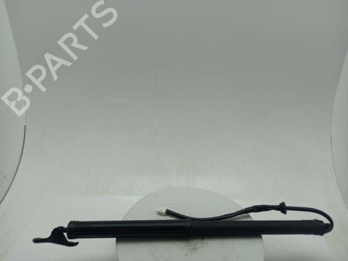 tailgate-lift-support-toyota-rav-4-v-_a5_-_h5_-2018-40304856 main image
