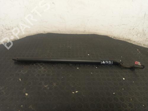 Used Tailgate lift support Tailgate lift support FORD PUMA (J2K, CF7) 1.0 EcoBoost mHEV (125 hp) 40305175 40305175