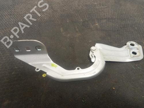 hingedoor-check-strap-ford-kuga-ii-dm2-2012-40316023 main image