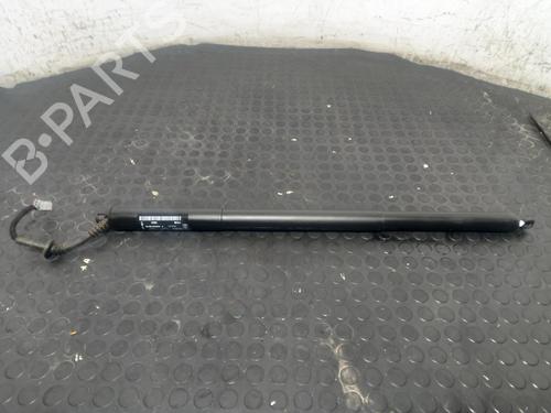 Used Tailgate lift support Tailgate lift support FORD PUMA (J2K, CF7) 1.0 EcoBoost mHEV (125 hp) 40305176 40305176