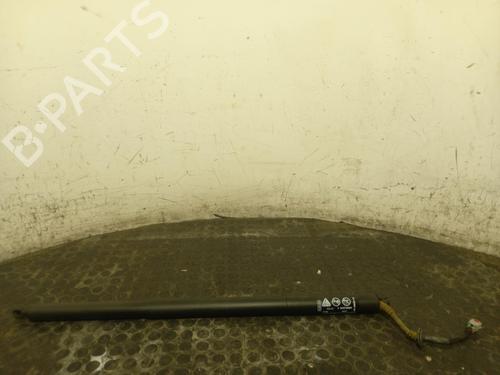 Used Tailgate lift support Tailgate lift support FORD PUMA (J2K, CF7) 1.0 ST EcoBoost mHEV (170 hp) 40304385 40304385