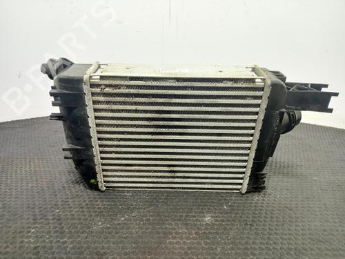 Intercooler DACIA DUSTER (HM_) 1.0 TCe 100 (HMMT) | BP40334991M30 - Image 1