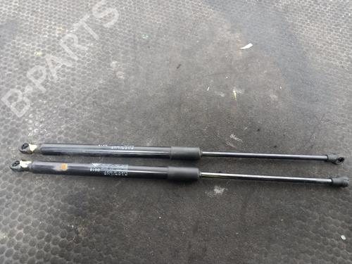 tailgate-lift-support-citroen-c3-iii-sx-2016-40314857 main image