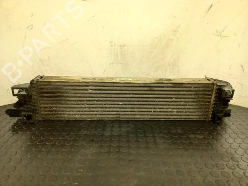 Used Intercooler Intercooler RENAULT TRAFIC III Van (FG_) 1.6 dCi 115 (FGMD) (116 hp) 40339817 40339817