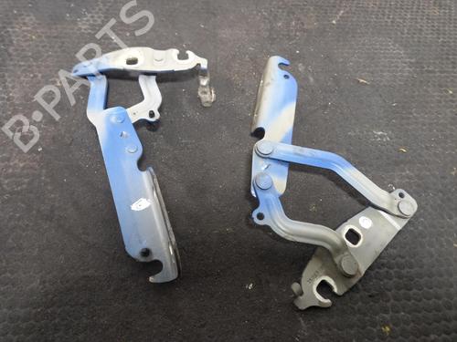 hingedoor-check-strap-ford-fiesta-vi-cb1-ccn-2008-40311014 main image