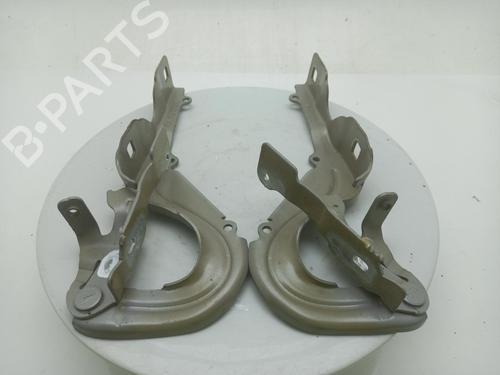hingedoor-check-strap-citroen-c3-iii-sx-2016-40310718 main image