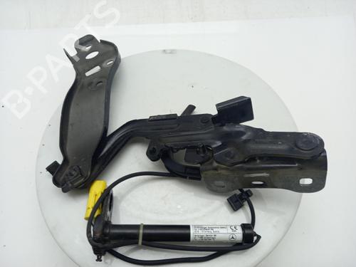 hingedoor-check-strap-mercedes-benz-a-class-w177-2018-40305323 main image
