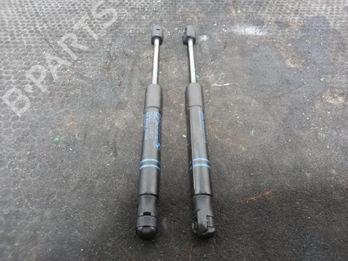 hood-lift-support-bmw-2-convertible-f23-2014-2015-2016-2017-2018-2019-2020-2021-40316222 main image