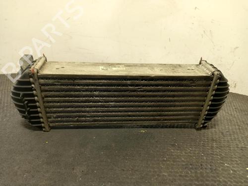 Used Intercooler Intercooler MERCEDES-BENZ CITAN Mixto (Double Cabin) (W415) 111 CDI (415.603, 415.605) (110 hp) 40324163 40324163