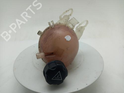 Used Expansion tank Expansion tank CITROËN DS3 Convertible 1.6 VTi 120 (120 hp) 40311050 40311050