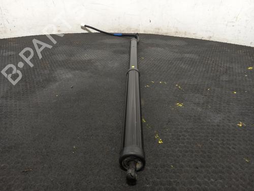 Tailgate lift support LEXUS RX (_L2_) 450h AWD (GYL25_, GYL26_, GYL25, GYL26, GYL25R, GYL26R) | BP40323218C138 - Image 1
