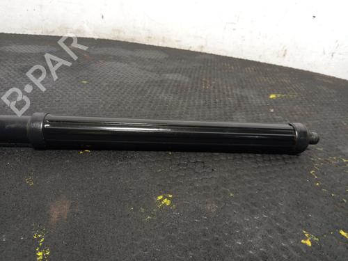 Tailgate lift support LEXUS RX (_L2_) 450h AWD (GYL25_, GYL26_, GYL25, GYL26, GYL25R, GYL26R) | BP40323219C138  - Image 5