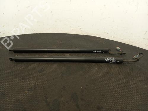 Used Tailgate lift support Tailgate lift support FORD PUMA (J2K, CF7) 1.0 EcoBoost mHEV (125 hp) 40328345 40328345