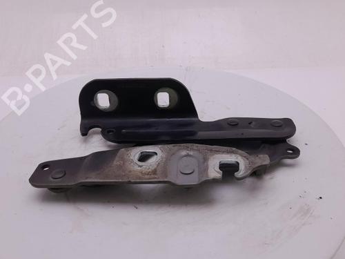 hingedoor-check-strap-ford-fiesta-vi-cb1-ccn-2008-40306915 main image