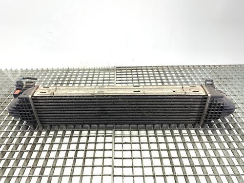 Used Intercooler Intercooler VOLVO V70 III (135) 2.5 T (200 hp) 39318760 39318760