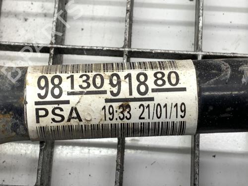 Left front driveshaft CITROËN JUMPY III Bus (V_) 2.0 BlueHDi 180 | BP39377337M38 - Image 4
