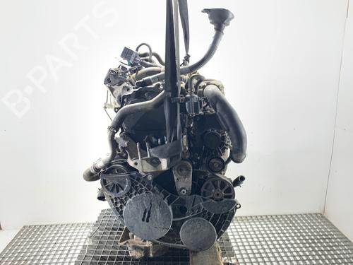 Engine FORD TRANSIT CUSTOM V362 Bus (F3) 2.0 EcoBlue | BP39307357M1 - Image 3