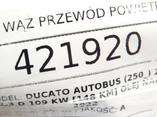 Pipe FIAT DUCATO Bus (250_) 150 Multijet 2,3 D | BP39268995M125 - Image 6