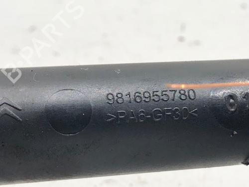 Injection rail CITROËN C3 III (SX) 1.2 PureTech 82 | BP39371172M98 - Image 6