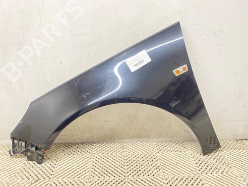 Forskærm venstre Forskærm venstre OPEL INSIGNIA A (G09) 2.0 CDTI (68) (160 hp) 39283884 39283884