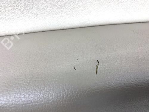 Front left panel AUDI A5 (8T3) 3.0 TDI quattro | BP39320527C58 - Image 2
