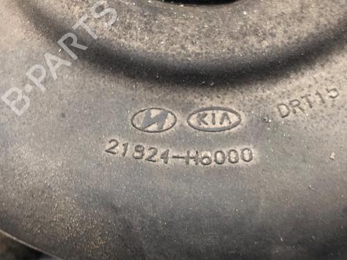 Engine mount KIA RIO IV (YB, SC, FB) 1.25 LPG | BP39278623M89 - Image 4