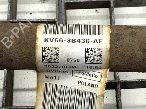 Right front driveshaft FORD TRANSIT CONNECT V408 Box Body/MPV 1.0 EcoBoost | BP40277013M39  - Image 5