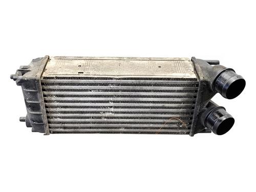 Used Intercooler Intercooler CITROËN C4 Picasso I MPV (UD_) 1.6 HDi 110 (112 hp) 40001795 40001795
