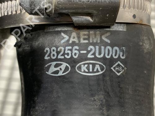 Pipe KIA CEED (CD) 1.6 CRDi 115 | BP39322992M125 - Image 3