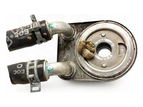 Used Oil radiator Oil radiator FORD FOCUS IV (HN) 1.0 EcoBoost (125 hp) 40489486 40489486