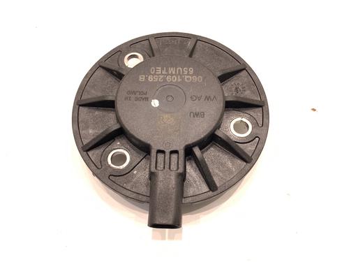 Vacuum pump CUPRA FORMENTOR (KM7, KMP) 2.0 TSI 4Drive | BP39336228M80 - Image 2