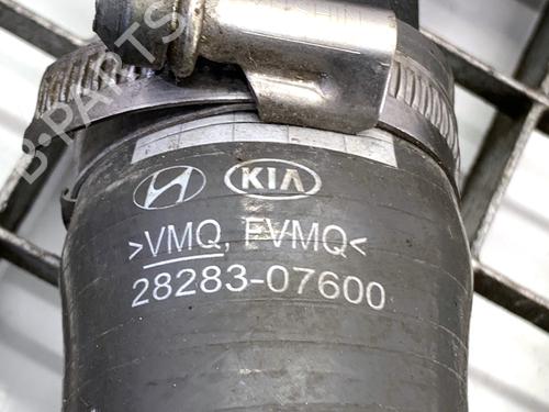 Pipe HYUNDAI i30 Estate (PDE) 1.0 T-GDI | BP39346239M125 - Image 5