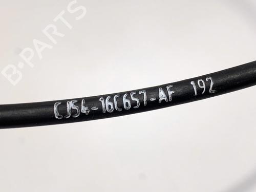 Kabel FORD KUGA II (DM2) 1.6 EcoBoost | BP39352470E12 - Image 5