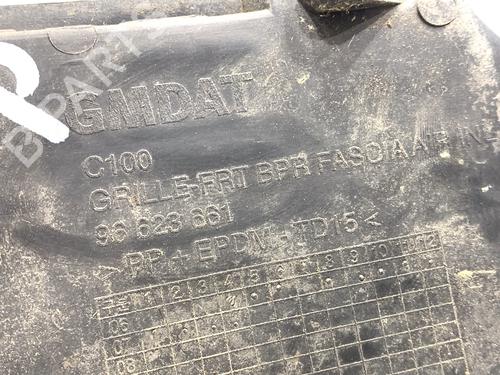 Grill CHEVROLET CAPTIVA (C100, C140) 2.0 D 4WD | BP39346101C40 - Image 4