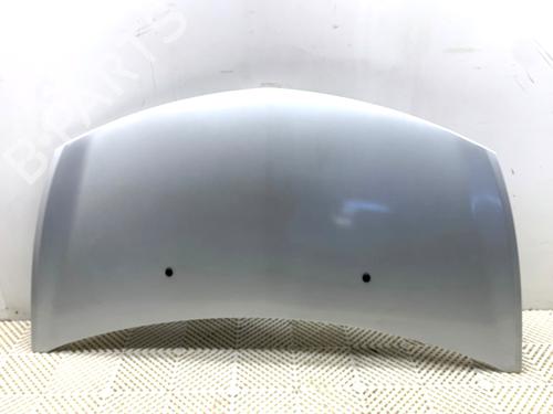 hood-renault-clio-iii-br01-cr01-2005-2006-2007-2008-2009-2010-2011-2012-2013-2014-39304262 main image