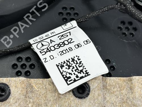 Rear right panel MERCEDES-BENZ CLS (C257) AMG CLS 53 EQ Boost 4-Matic+ (257.361) | BP39276091C61  - Image 9