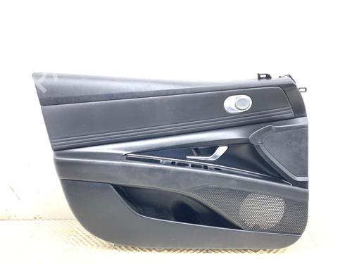 front-left-panel-hyundai-elantra-vii-saloon-cn7-2020-39312233 main image